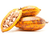 Kakao: Mehr als schokoladig süß