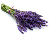 Lavendel: Ein Gedicht in blau-violette